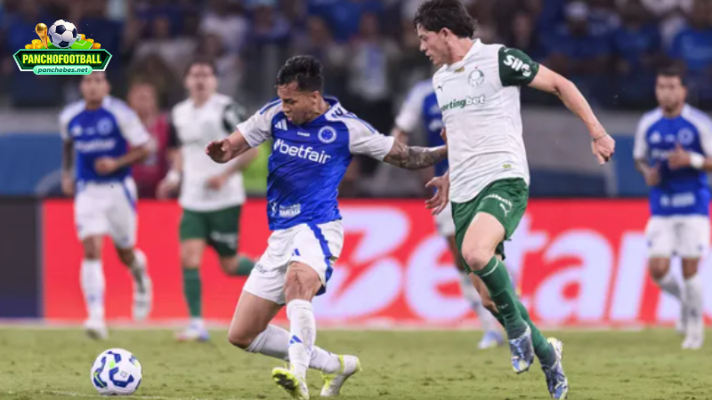 Thống kê, thành tích và các “tượng đài” của cầu thủ tại CLB Cruzeiro